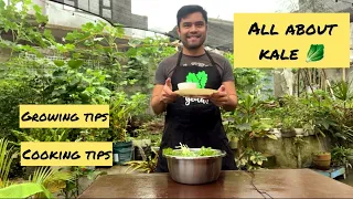 Tips on how to grow Kale. How to harvest Kale. How to cook Kale #kale #gardening #philippines