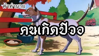 ดวงคนเกิดปีจอ (ปีหมา)🐶ตามลักษณะวันเกิดและเดือนเกิด #ดูดวง #ช่องแมวตาเพชร