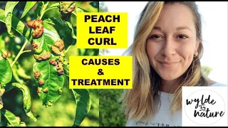 Peach Leaf Curl – Organic Treatment | feat. Wylde By Nature