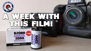 A week with Ilford Delta 3200. Not as grainy as they say! What's your combo?