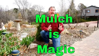 Understanding Mulch - Magic in the Garden