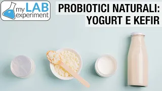 Probiotici naturali: YOGURT e KEFIR