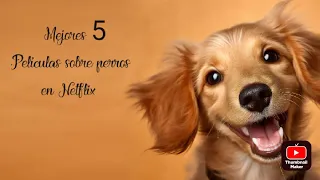 Descubre las 5 películas más emotivas sobre perros en Netflix#netflix#perros#peliculas#historias