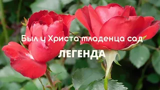 Сам себе Эдельвейс - Был у Христа младенца сад (Легенда) ПЛЮС (Детские песни караоке)