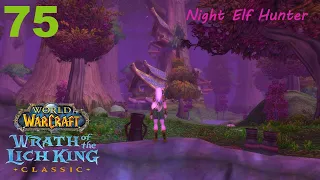 Let's play World of Warcraft WotLK classic - Night Elf Hunter - Part 75