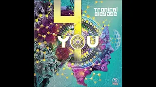 Tropical Bleyage - 4 You | Full Album