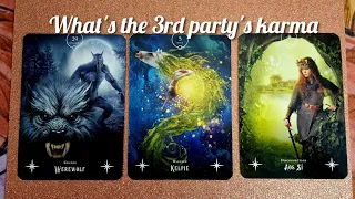🔮 What is the karma of the 3rd party? 🔮 pick a card tarot 💖 timeless ✨️