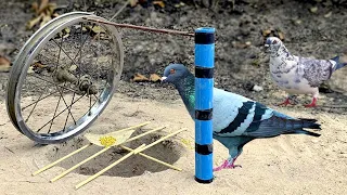 Best Bird Trap Technology Using 1 cart wheel & Easy Dove Bird Trap#birdtrap