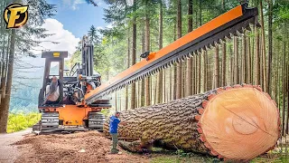 185 Incredible Fastest Big Chainsaw Machines For Cutting Trees ► 28