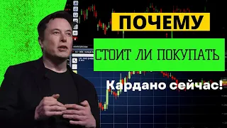 ПОЧЕМУ ВАМ СТОИТ КУПИТЬ КАРДАНО ПРЯМО СЕЙЧАС? Прогнозы для ADA к ETH, BTC и USD.