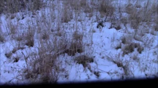 Bigfoot Universe Foot Prints in Snow, New Area.. part1