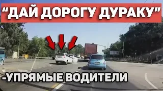 Автоподборка "Дай дорогу дураку"🚘Упрямые водители#41