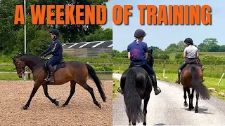FOCUSING MORE ON FLAT WORK! A weekend of training