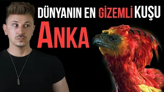 ETKİLENECEKSİNİZ! DÜNYANIN EN GİZEMLİ HAYVANI  ANKA KUŞU EFSANESİ