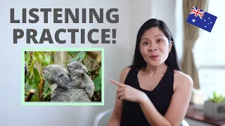 Australian Accent Listening Practice: KOALAS! (Upper Intermediate - Advanced English)