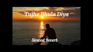 Tujhe Bhula Diya [𝙎𝙇𝙊𝙒𝙀𝘿 𝙍𝙀𝙑𝙀𝙍𝘽] Mohit Chauhan