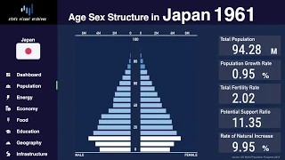 Japan - Changing of Population Pyramid & Demographics (1950-2100)