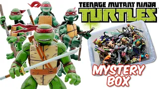 TEENAGE MUTANT NINJA TURTLES Mystery Box!! - MUTANT MAYHEM - TMNT