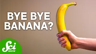 Bananas Are Not What You Think | The Shocking Truth