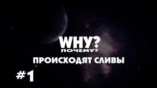 "Почему?" происходят сливы #1