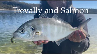 East Coast | Silver Trevally and Salmon