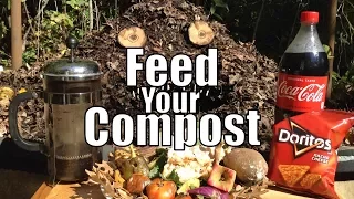 Feed Your Compost! 💩 Tips for Starting & Maintaining A Compost Pile