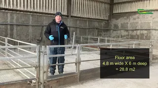 Sheep Housing - Space Requirements