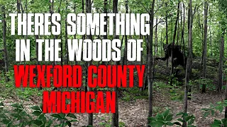 "There's Something In The Woods Of Wexford County, Michigan" Creepypasta