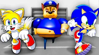 Sonic & Tails Escape PAW PATROL PRISON!
