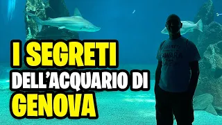 Scopri i segreti dell'acquario di Genova: il più grande d'Europa svelato in questo video!