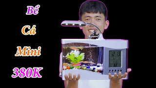 Mê Mẩn Với Bể Cá Cảnh Mini Siêu Cute Giá 380K || Anh Công Nguyên