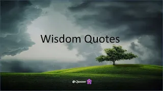 Wisdom Quotes / Motivational Quotes / Inspirational Quotes / Quotzee
