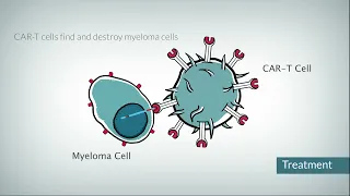 How does CAR T cell therapy work?