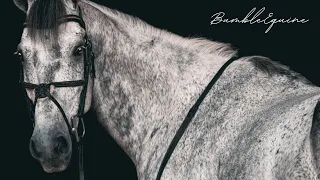 Daylight | Equestrian Music Video