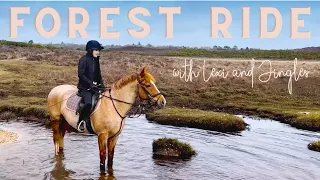 Bike & Pony Ride Through the New Forest