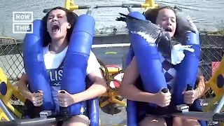 Seagull Smacks into Teen on Amusement Park Ride