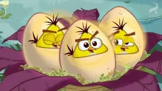 Angry Birds Toons HD Episode 5 Egg Sounds