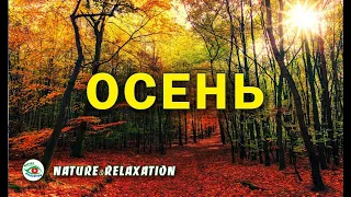 ПРИРОДА & КРАСИВАЯ ОСЕНЬ / Осенние ПЕЙЗАЖИ / Самая красивая музыка Сергея Чекалина / Для души / 2021