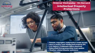 Intellectual Property - Copyrights, Trademarks, Trade Secrets & Patents