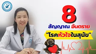 8 สัญญาณอันตราย!! โรคหัวใจในสุนัข [โรงพยาบาลสัตว์ชัยนาท]