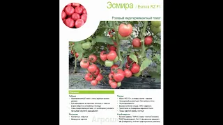 Самый лучший томат в мире 2023 г.!!! Высокоурожайный,сладкий и вкусный томат ЭСМИРА!!! СУПЕР!!!