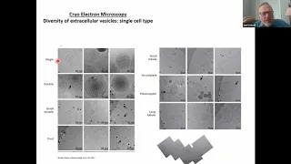 Mitochondrial extracellular vesicles Jan Lötvall