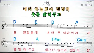 겨울비/조동진💋노래방, 코드 큰 악보,반주, 가라오케 ,코드, 가사 .💖Karaoke, Sheet music ,Chord, Lyrics ,MR,