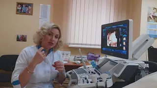 Определение пола плода на УЗИ.  Inside Pregnancy: Girl or Boy? Baby Ultrasound and Gender Reveal