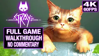 STRAY Full Game Walkthrough [4K 60FPS PC Max Settings] - No Commentary