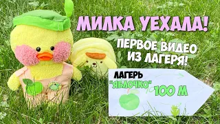 Уточка Милка уехала в летний лагерь! Первое видео от Милки! Летние Идеи для уточек LALAFANFAN