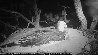 Another night at the end FOBBV CAM Big Bear Bald Eagle Live Nest Cam 1 / Wide View - Cam 2