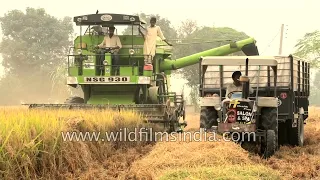 Massive harvesting machines of Punjab Combine harvester at work 1080p