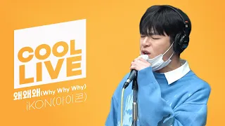 쿨룩 LIVE ▷iKON(아이콘) '왜왜왜(Why Why Why)'  /[DAY6의 키스 더 라디오] ㅣ KBS 210317 방송