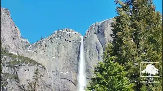 Stunning look at a bright and sunny Yosemite Falls in California